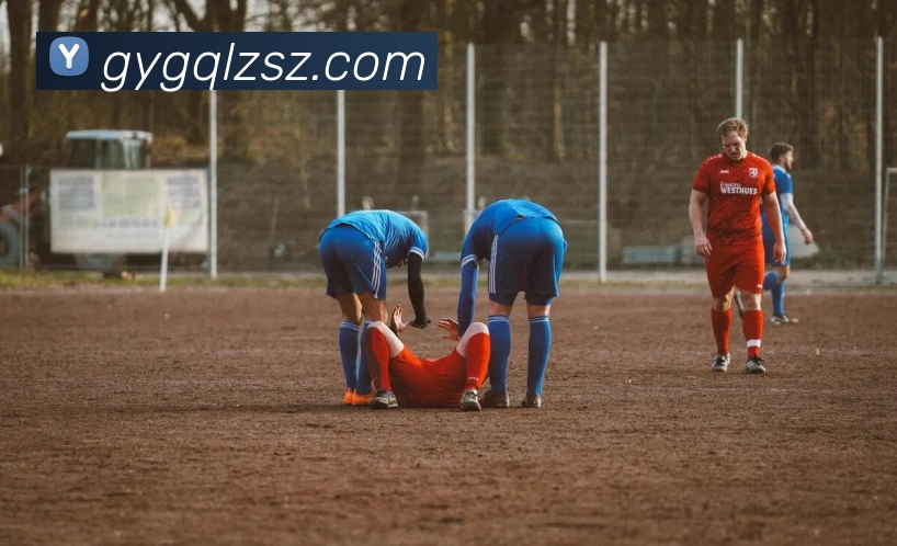 乐动体育平台生态图