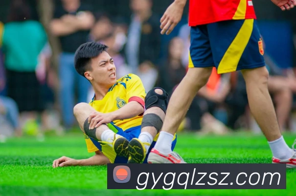 乐动体育APP 封面图