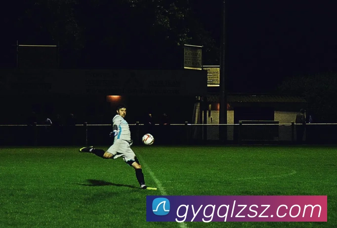 AI Risk Control